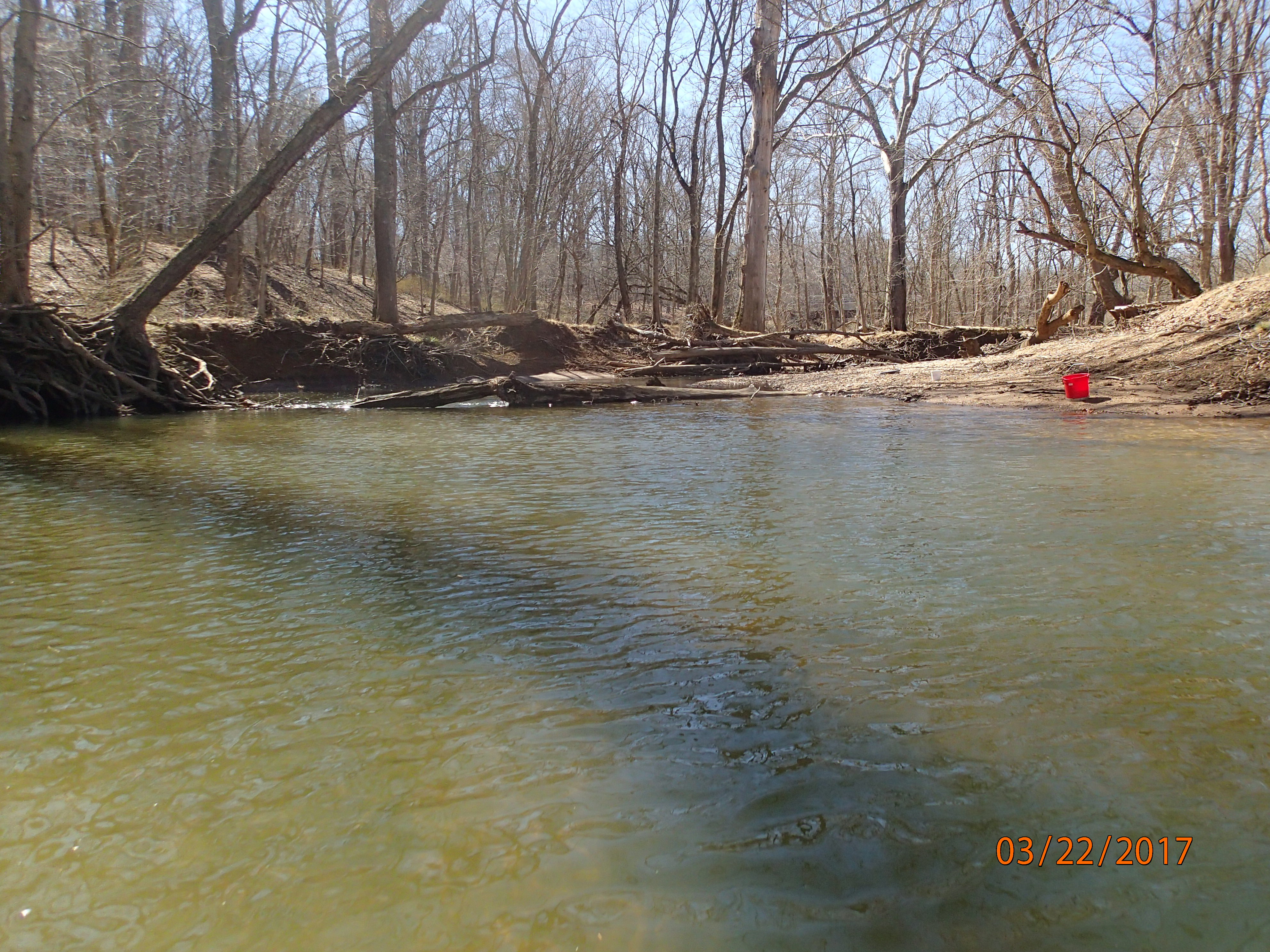 Field photo showing stream conditions at site SENE-402-X-2017-MidpointDownstream