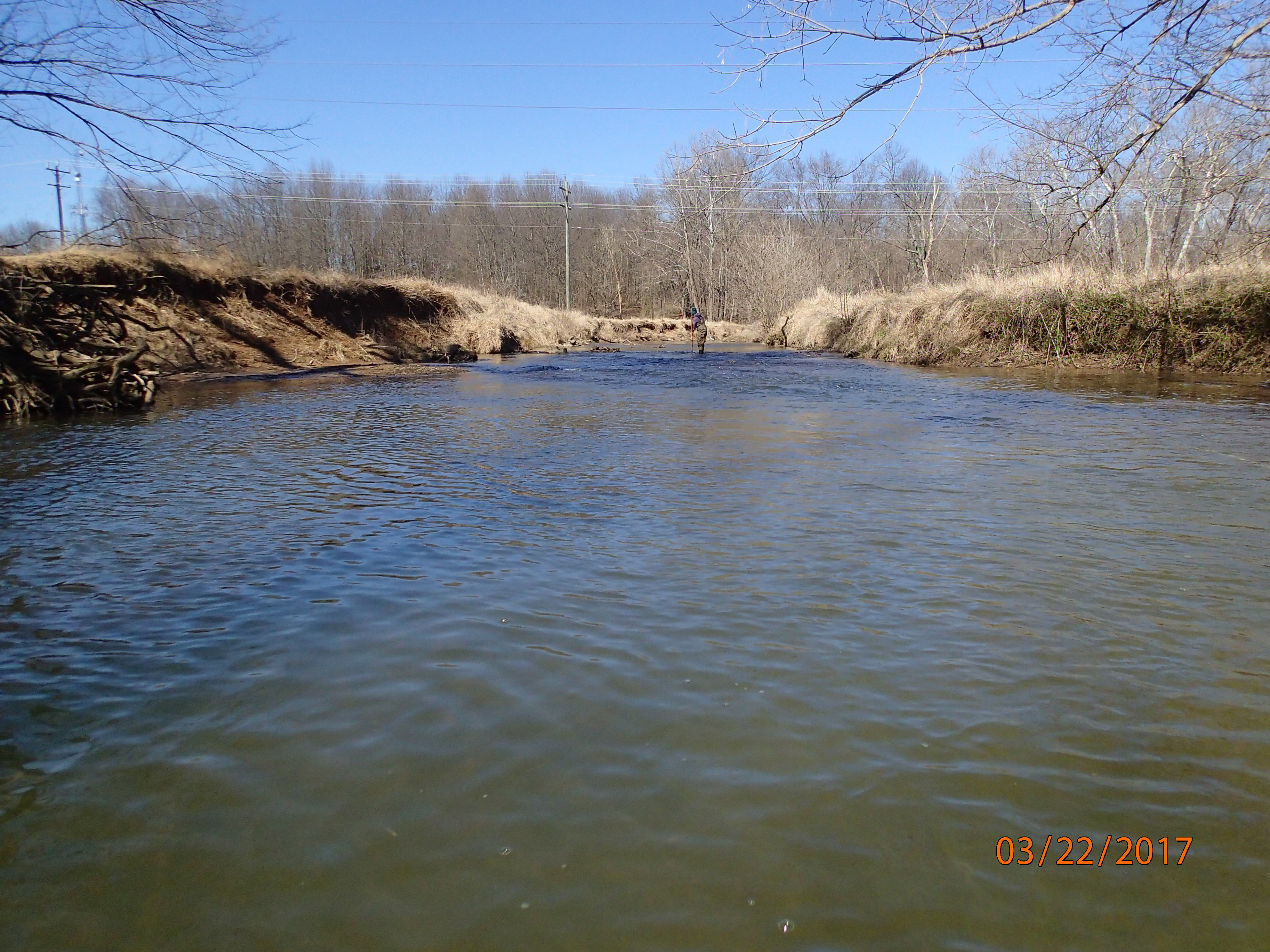 Field photo showing stream conditions at site SENE-402-X-2017-MidpointUpstream