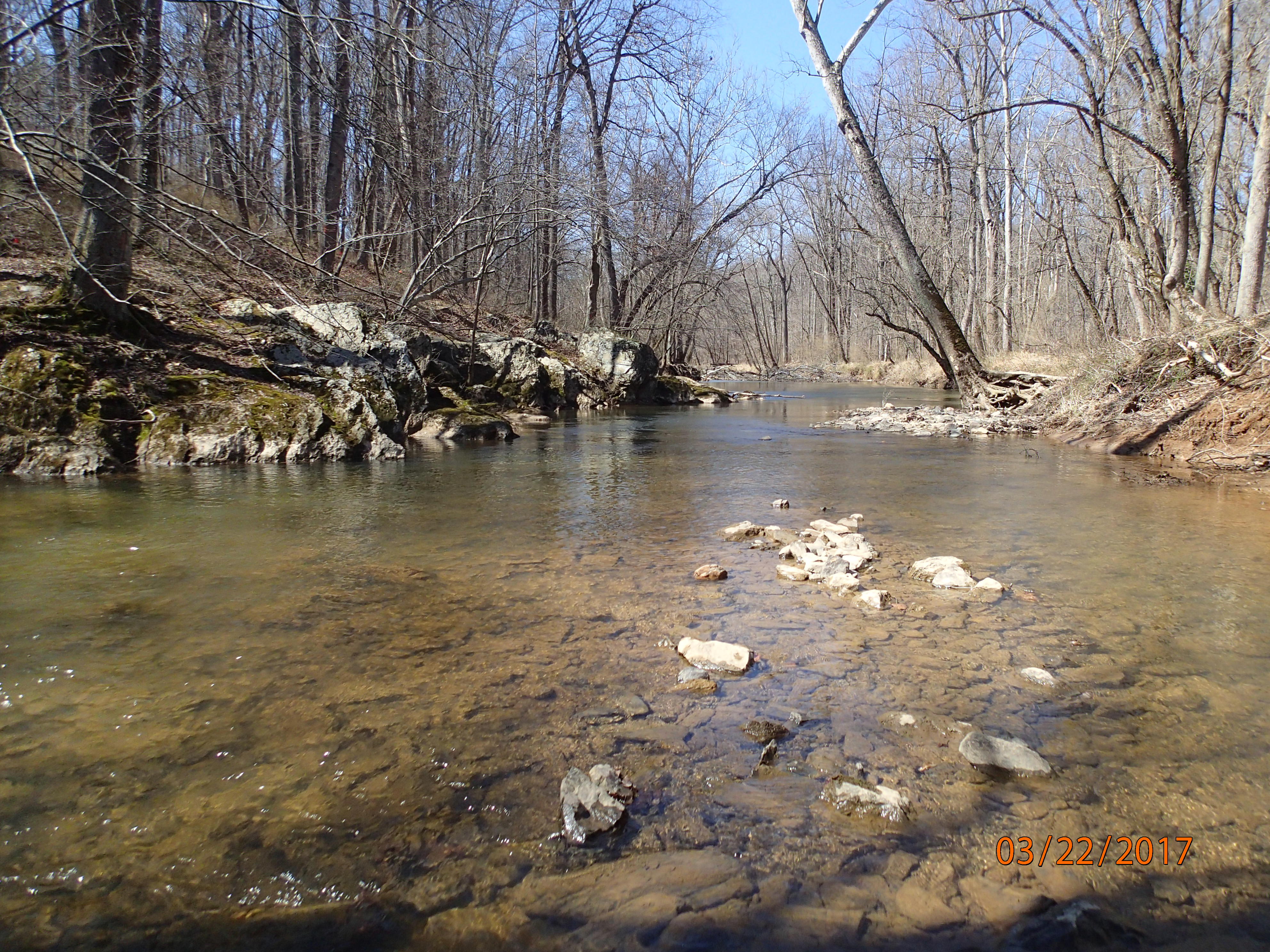 Field photo showing stream conditions at site SENE-407-X-2017-MidpointDownstream