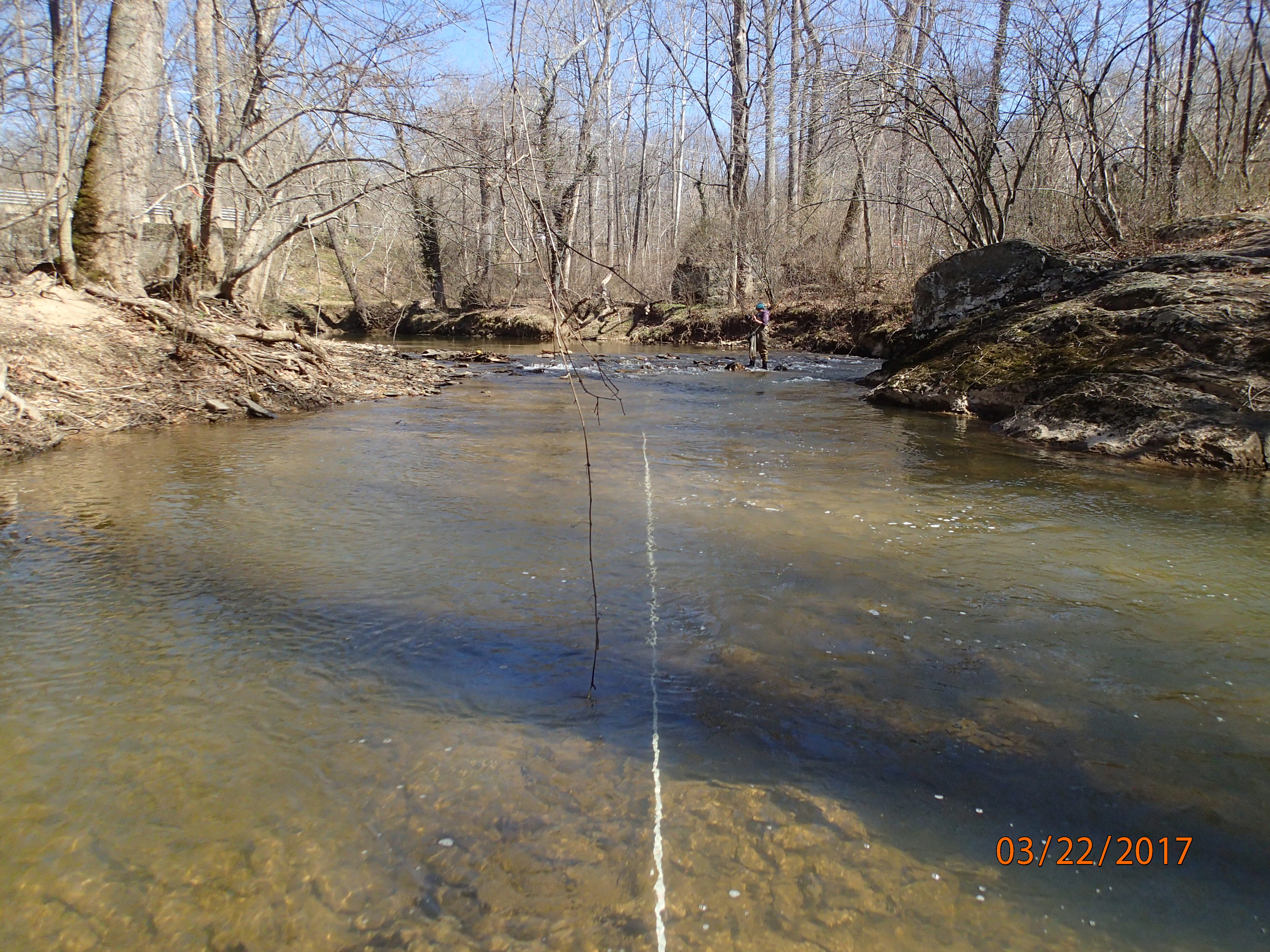 Field photo showing stream conditions at site SENE-407-X-2017-MidpointUpstream