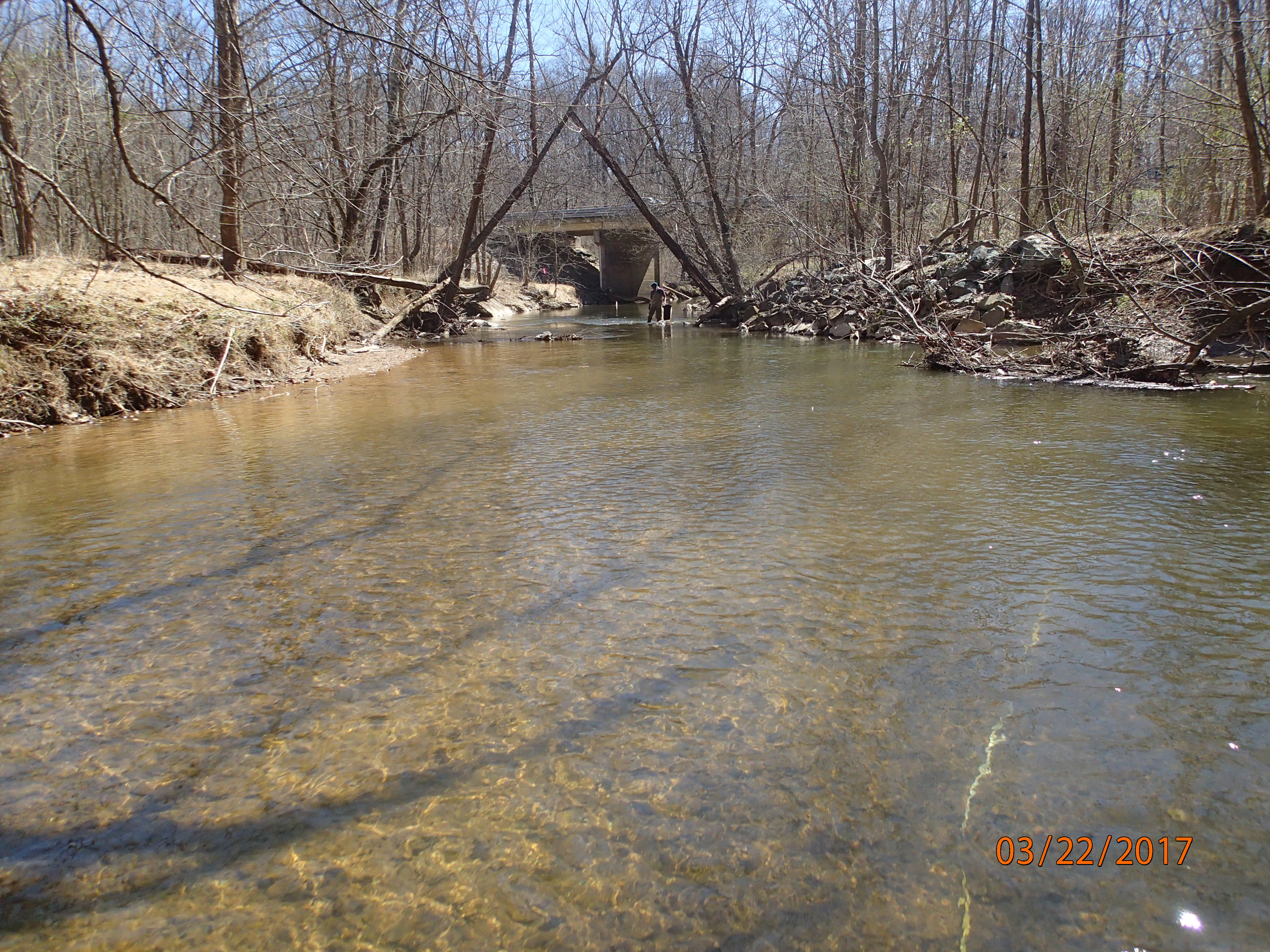Field photo showing stream conditions at site SENE-408-X-2017-MidpointDownstream