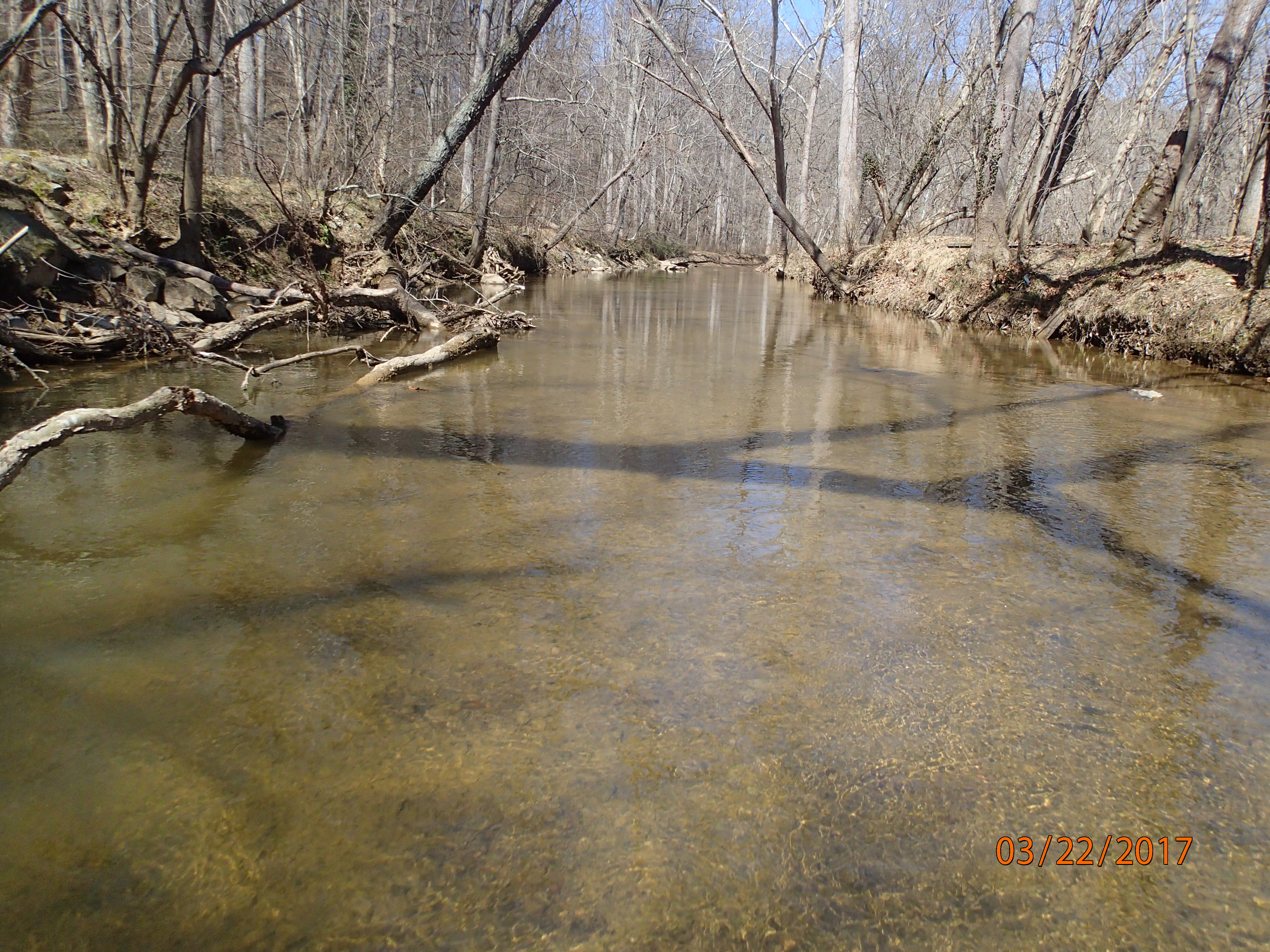 Field photo showing stream conditions at site SENE-408-X-2017-MidpointUpstream
