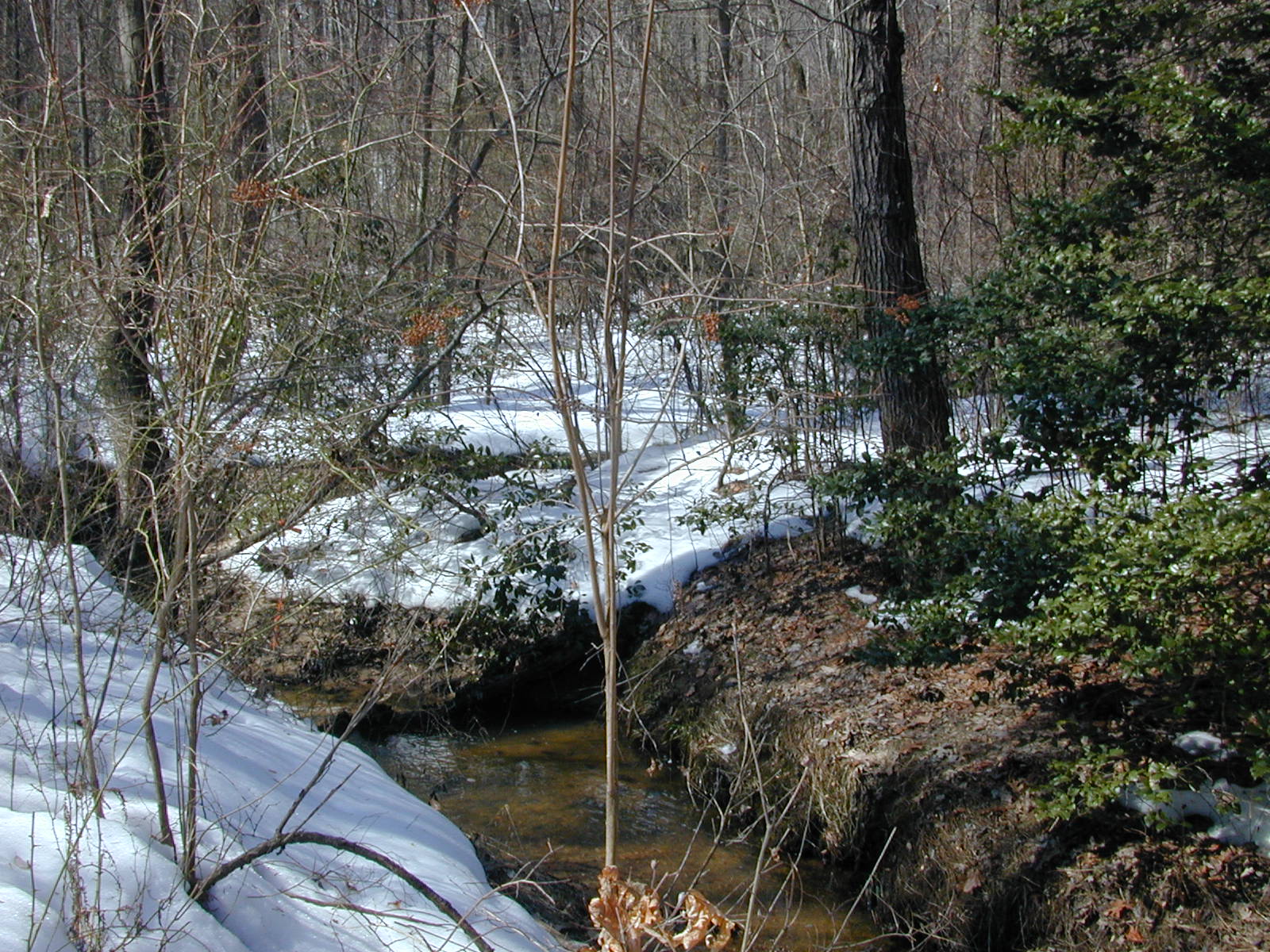 Field photo showing stream conditions at site SEVE-101-R-2003-0820