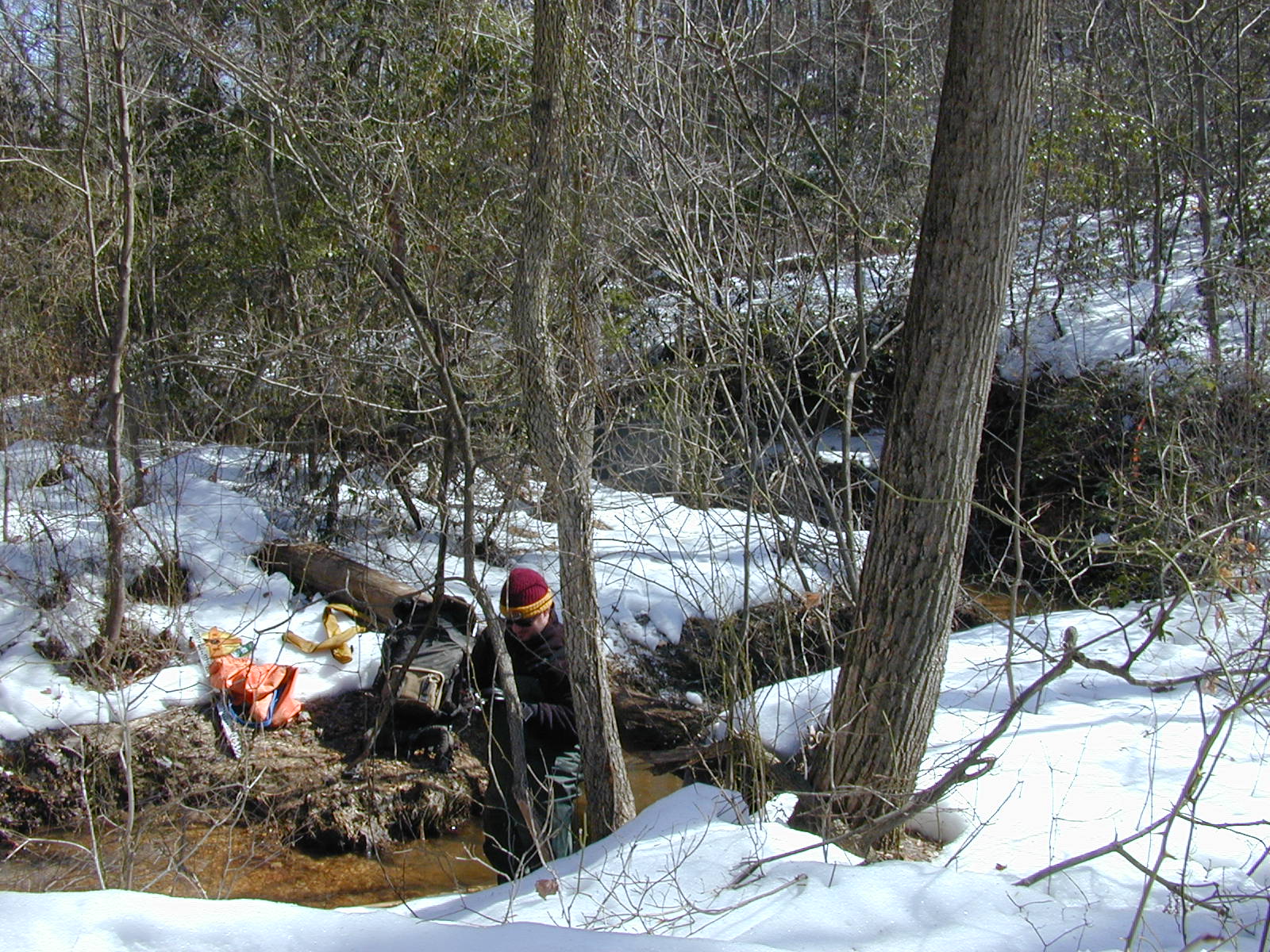 Field photo showing stream conditions at site SEVE-101-R-2003-0821