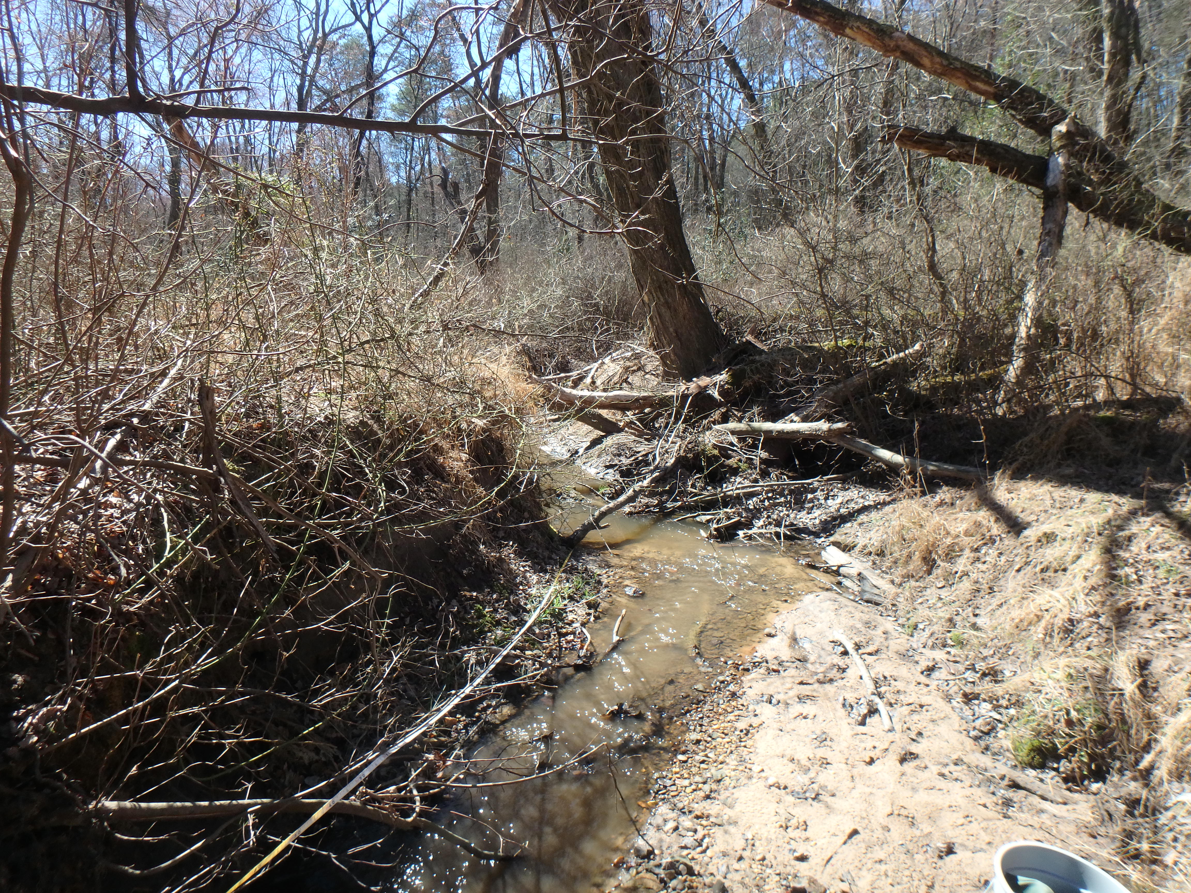 Field photo showing stream conditions at site SEVE-106-R-2017-MidpointFacingDownstream