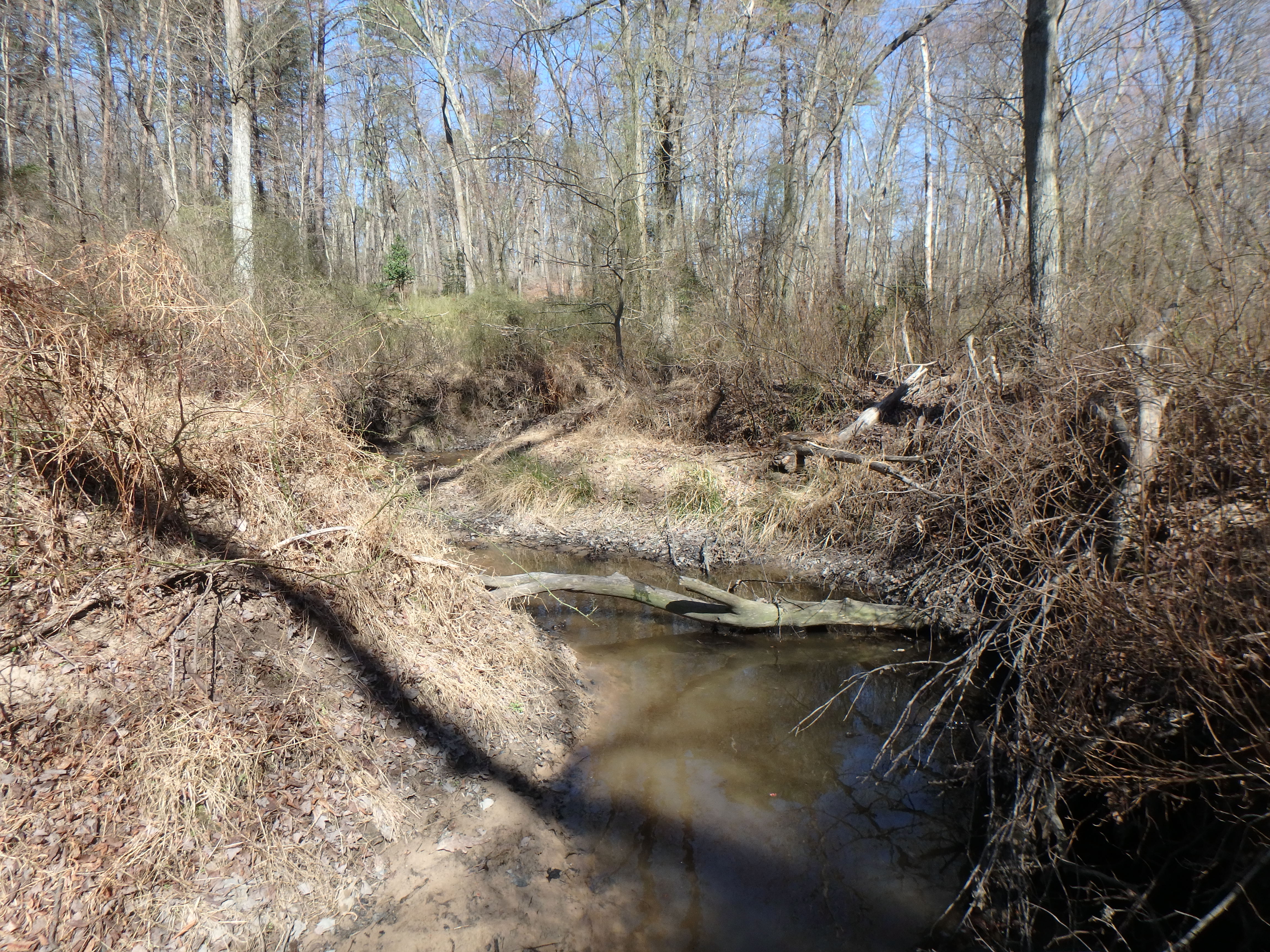 Field photo showing stream conditions at site SEVE-106-R-2017-MidpointFacingUpstream