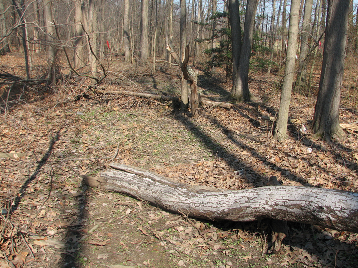 Field photo showing stream conditions at site SEVE-107-R-2008-1