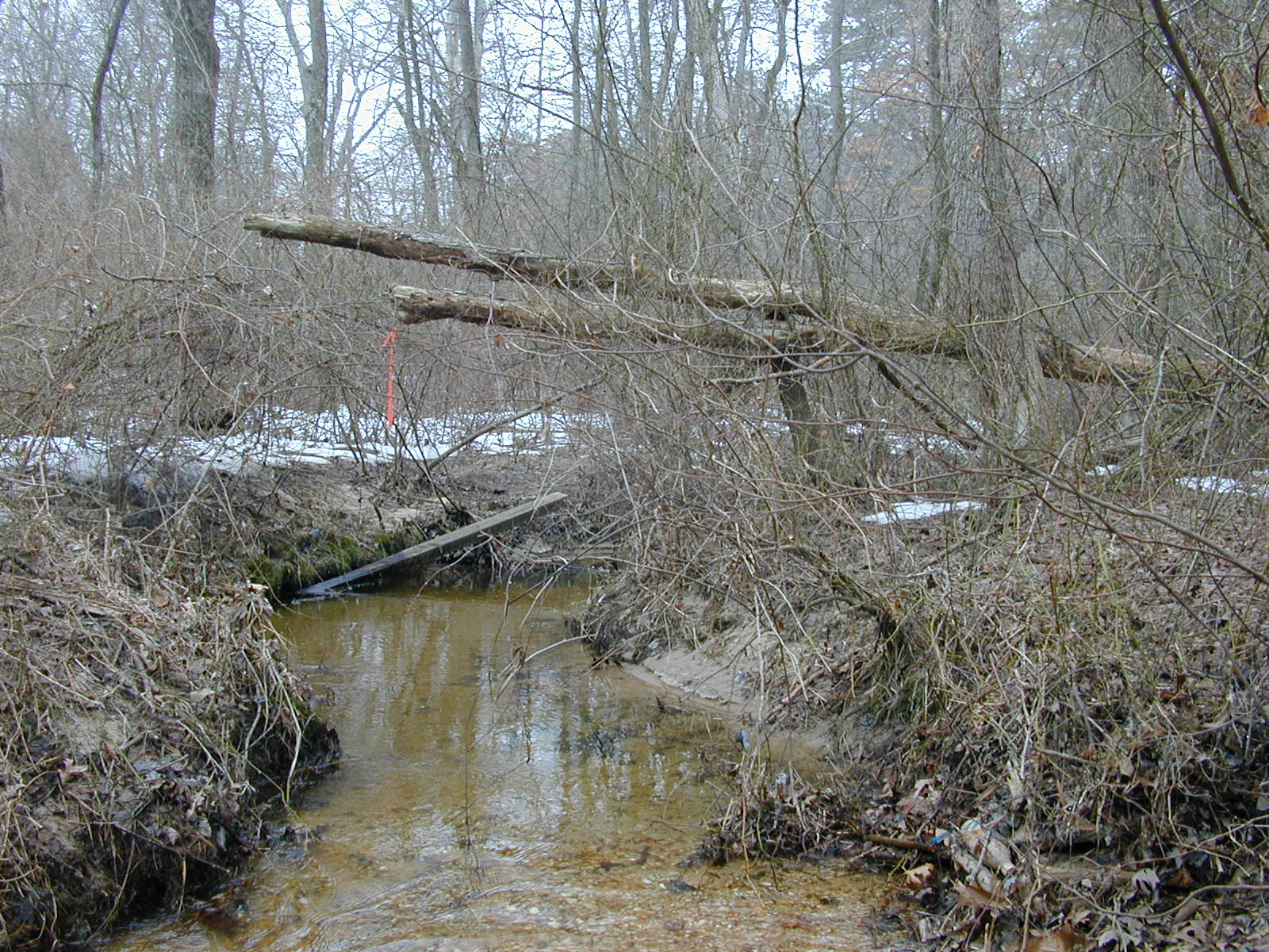 Field photo showing stream conditions at site SEVE-108-R-2003-0833