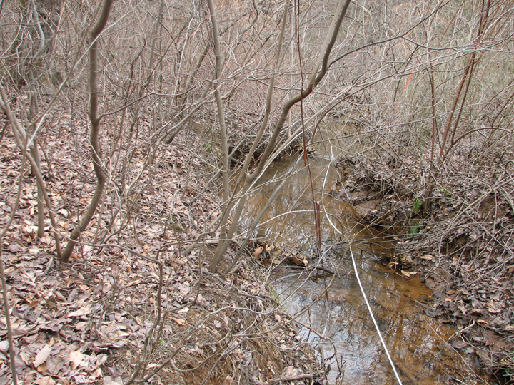 Field photo showing stream conditions at site SEVE-110-R-2008-1