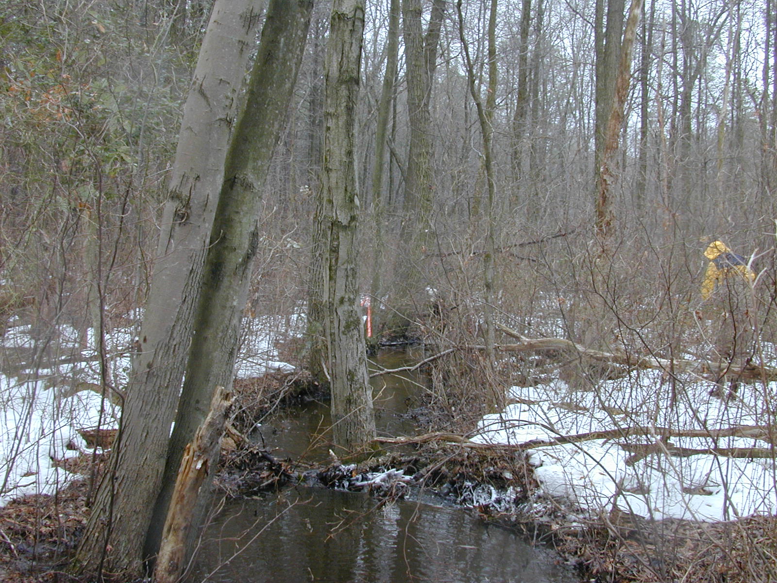 Field photo showing stream conditions at site SEVE-112-R-2003-0834