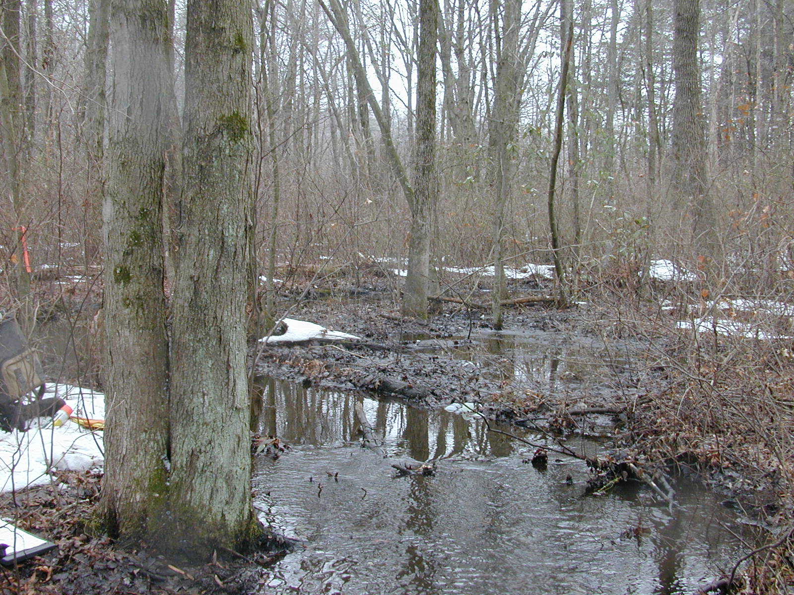 Field photo showing stream conditions at site SEVE-112-R-2003-0835