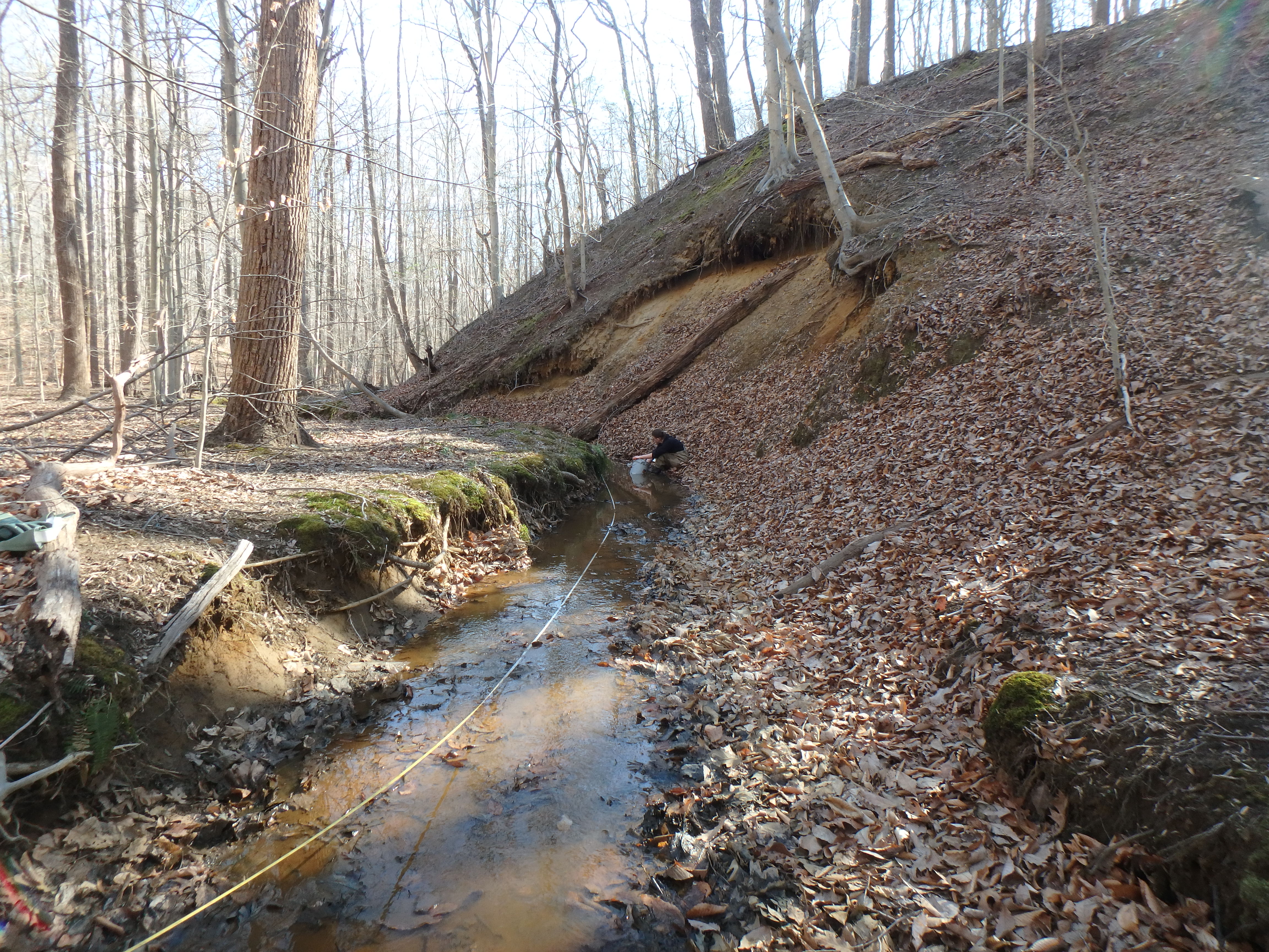 Field photo showing stream conditions at site SEVE-121-R-2017-MidpointLookingDownstream
