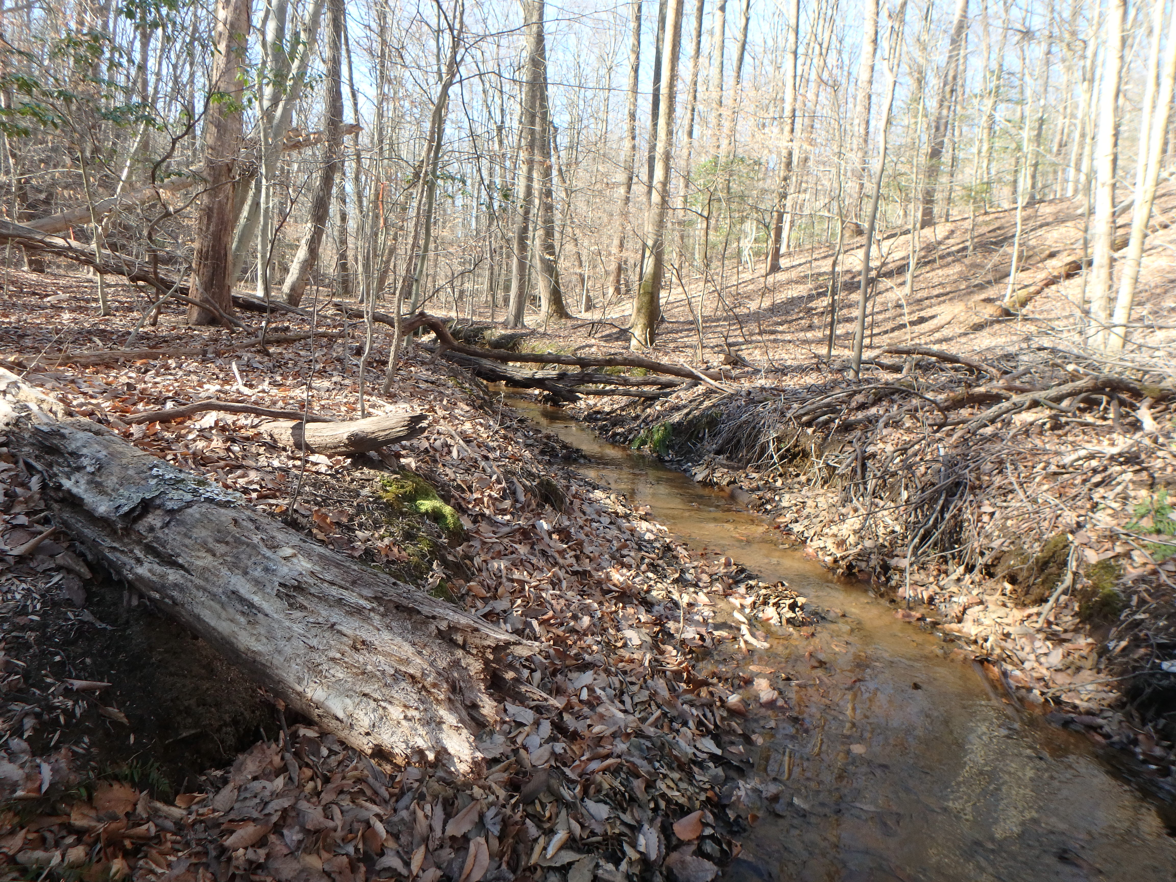 Field photo showing stream conditions at site SEVE-121-R-2017-MidpointLookingUpstream