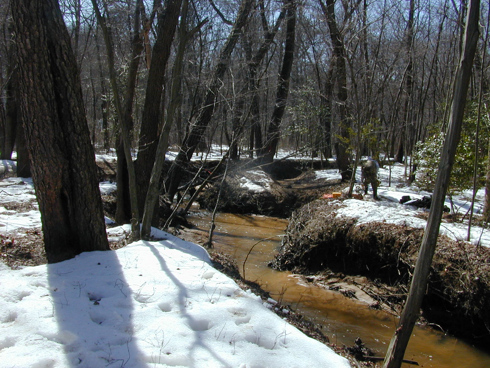Field photo showing stream conditions at site SEVE-203-R-2003-0824