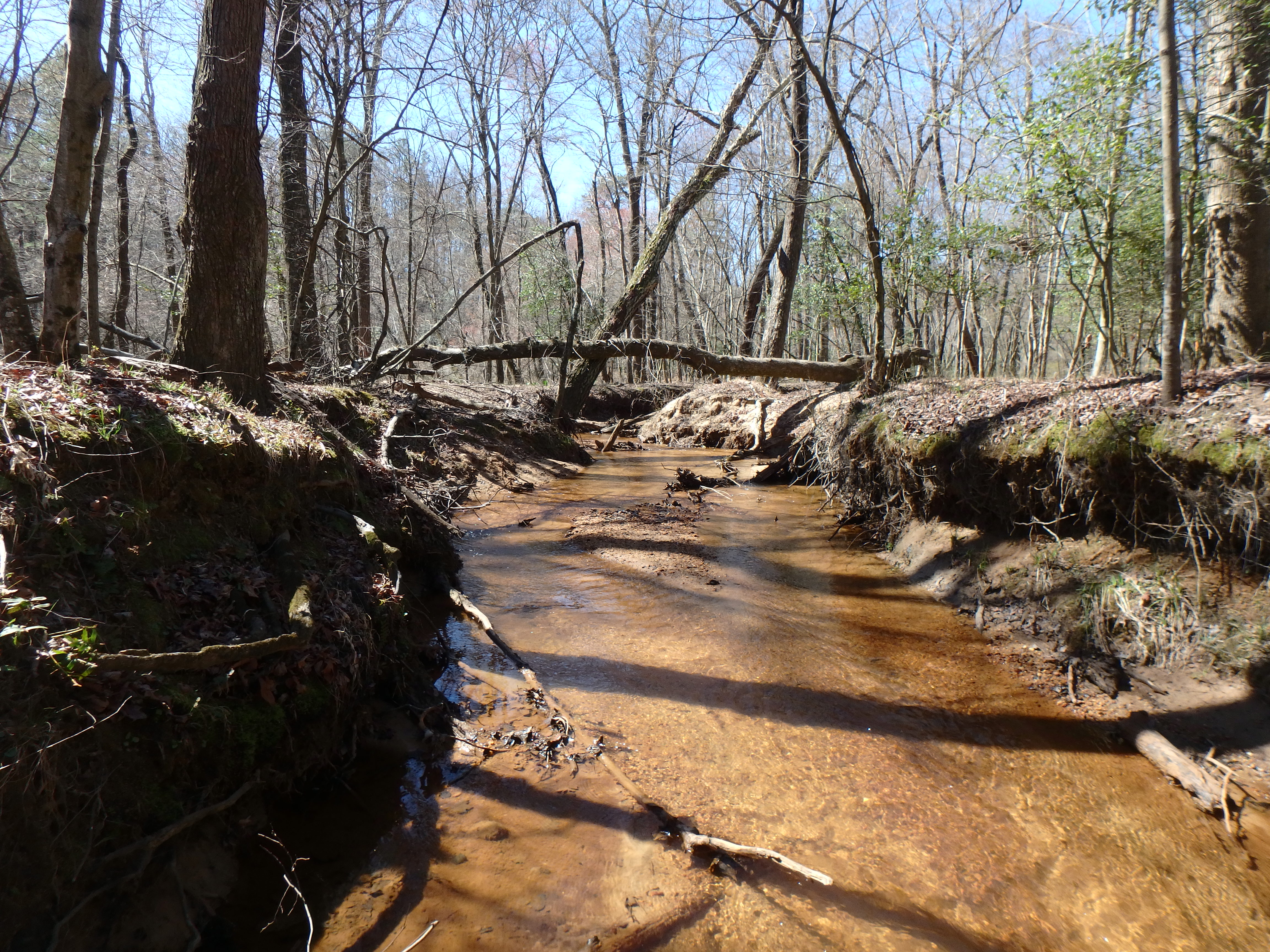 Field photo showing stream conditions at site SEVE-203-R-2017-MidpointLookingDownstream
