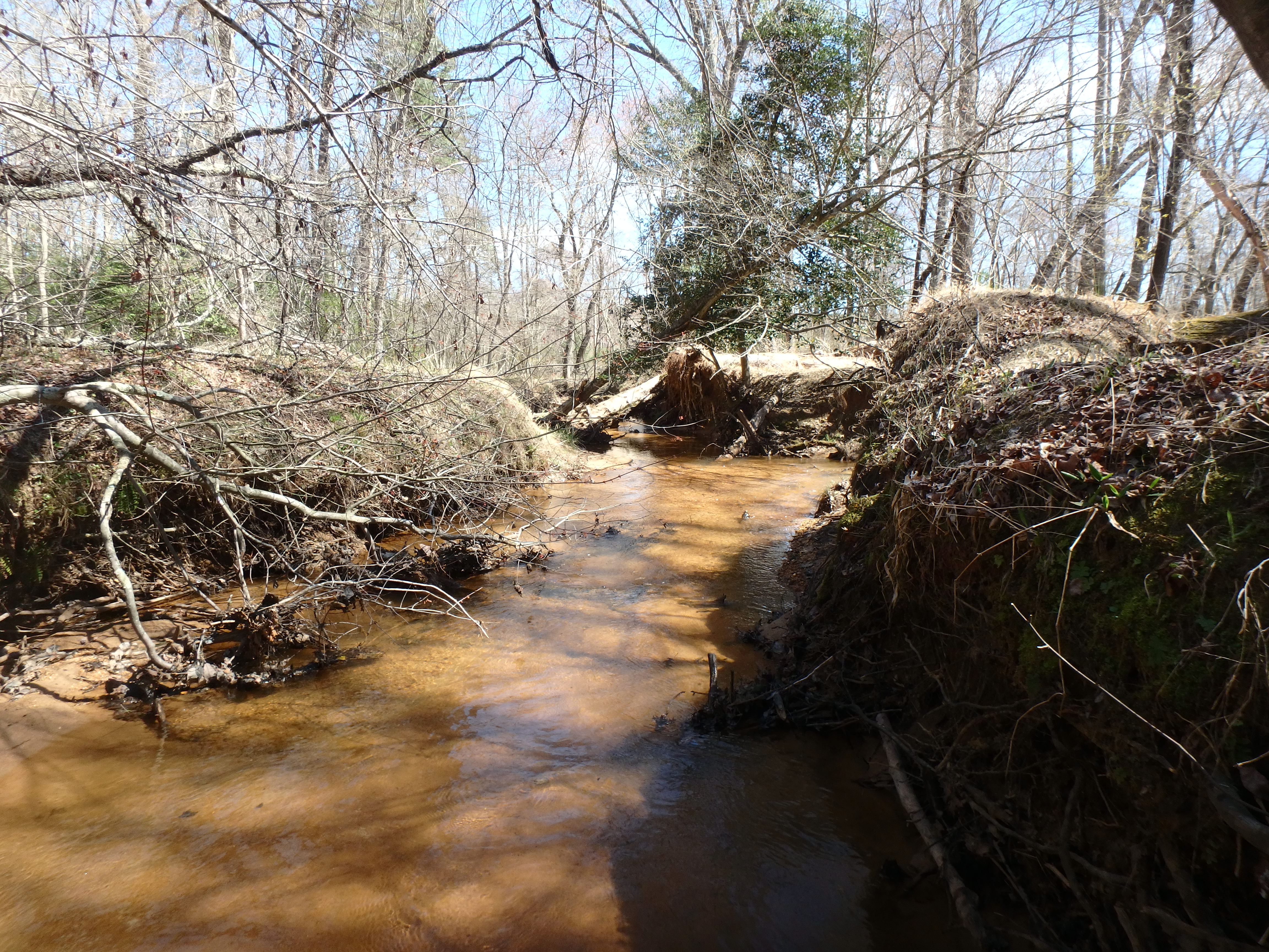 Field photo showing stream conditions at site SEVE-203-R-2017-MidpointLookingUpstream