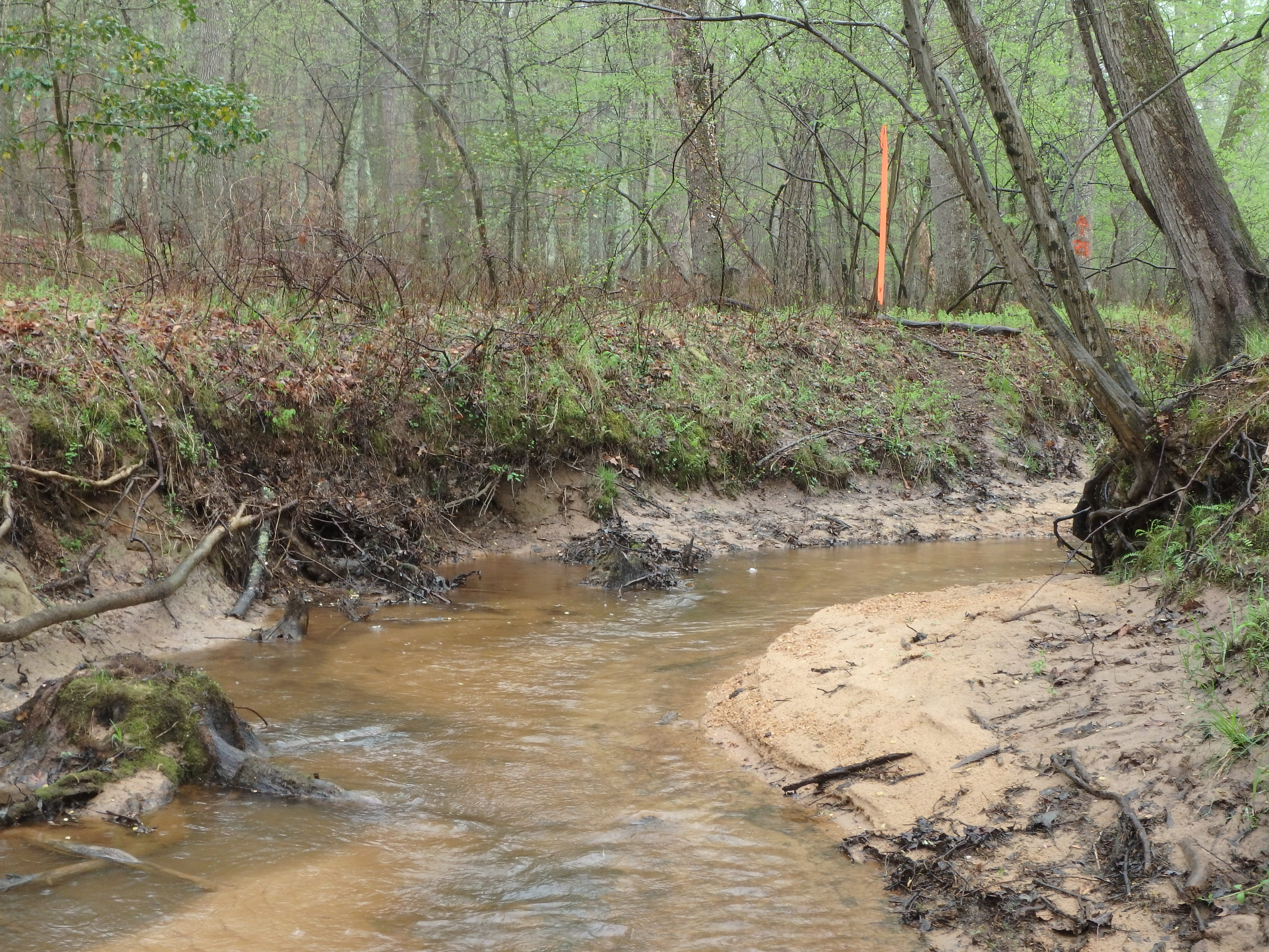 Field photo showing stream conditions at site SEVE-206-X-2017-MidpointAtPLookingUpstream