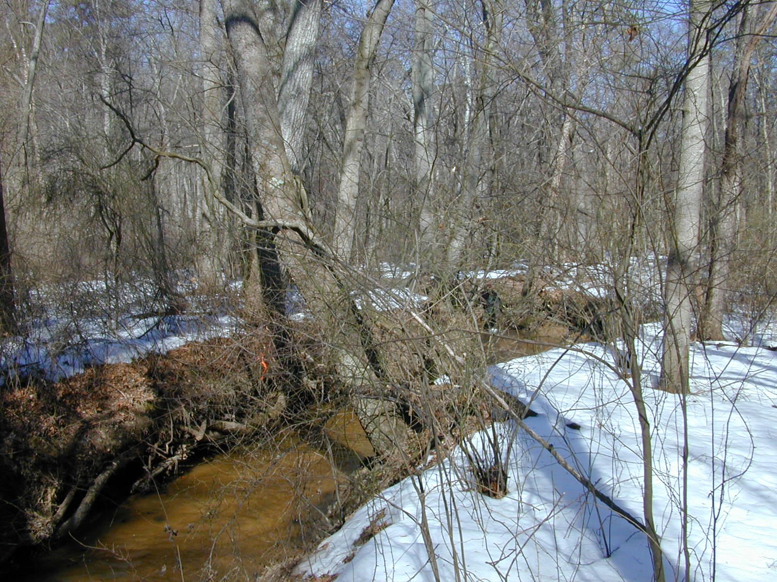 Field photo showing stream conditions at site SEVE-210-R-2003-0825