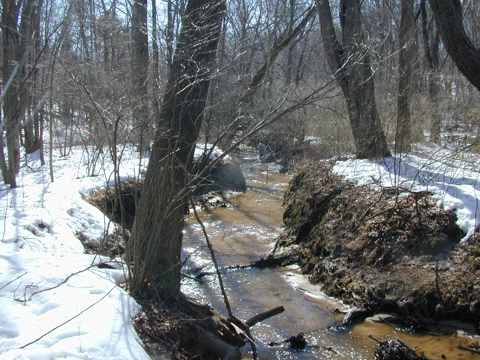 Field photo showing stream conditions at site SEVE-210-R-2003-0826