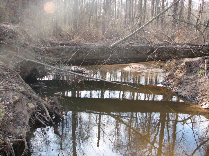 Field photo showing stream conditions at site SEVE-302-R-2008-1