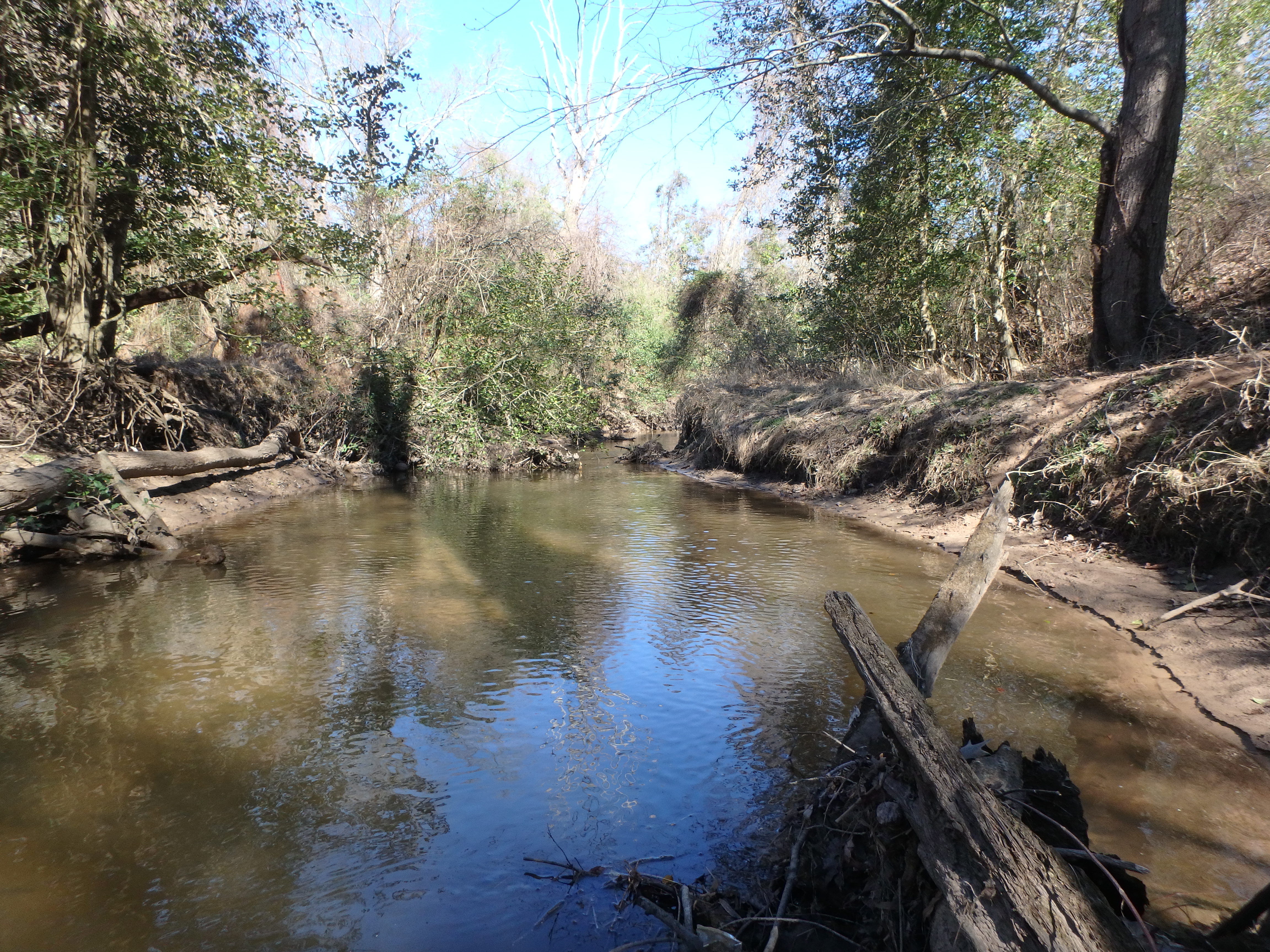 Field photo showing stream conditions at site SEVE-303-R-2017-MidpointLookingUpstream