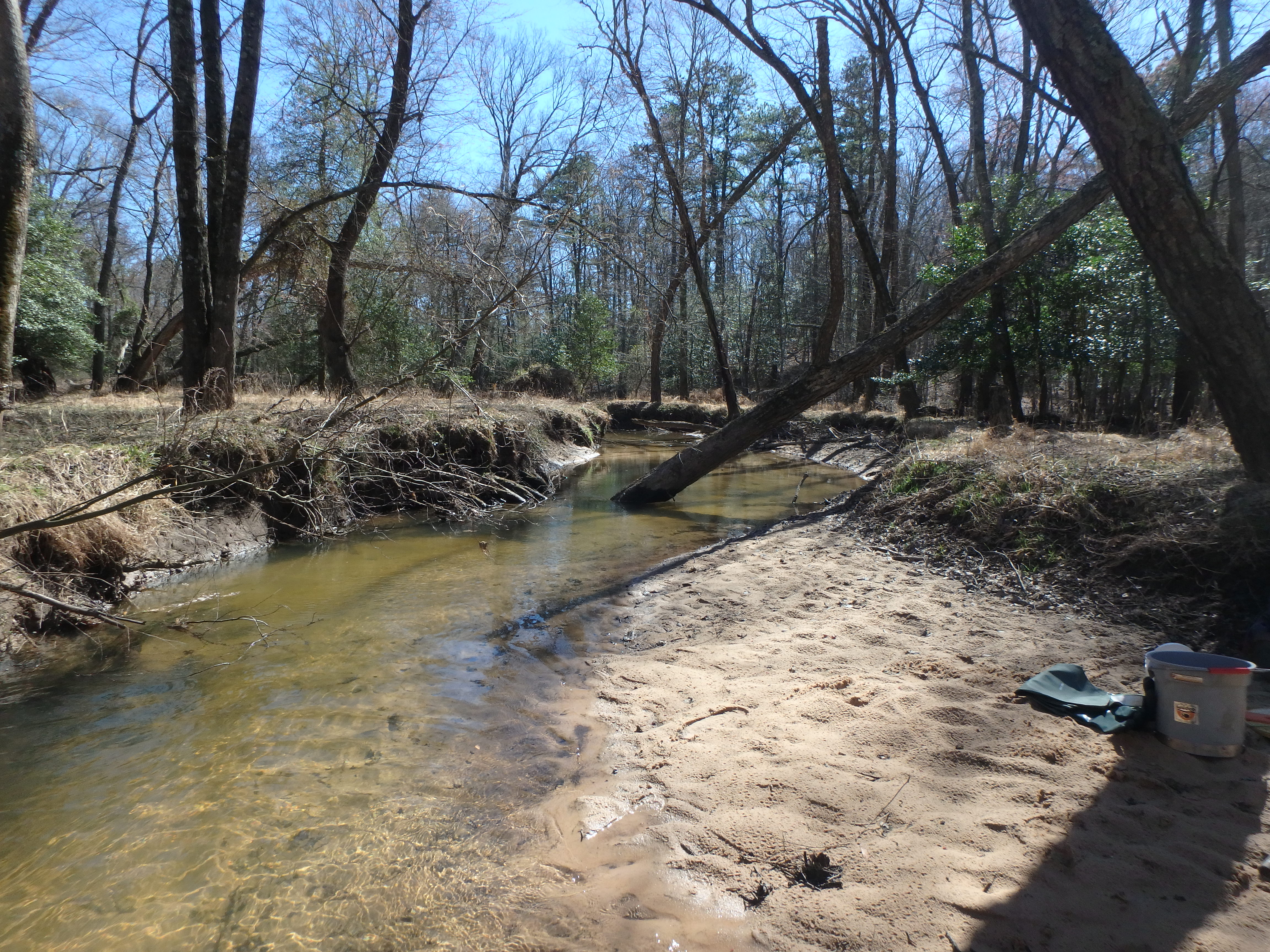 Field photo showing stream conditions at site SEVE-311-R-2017-MidpointLookingDownstream