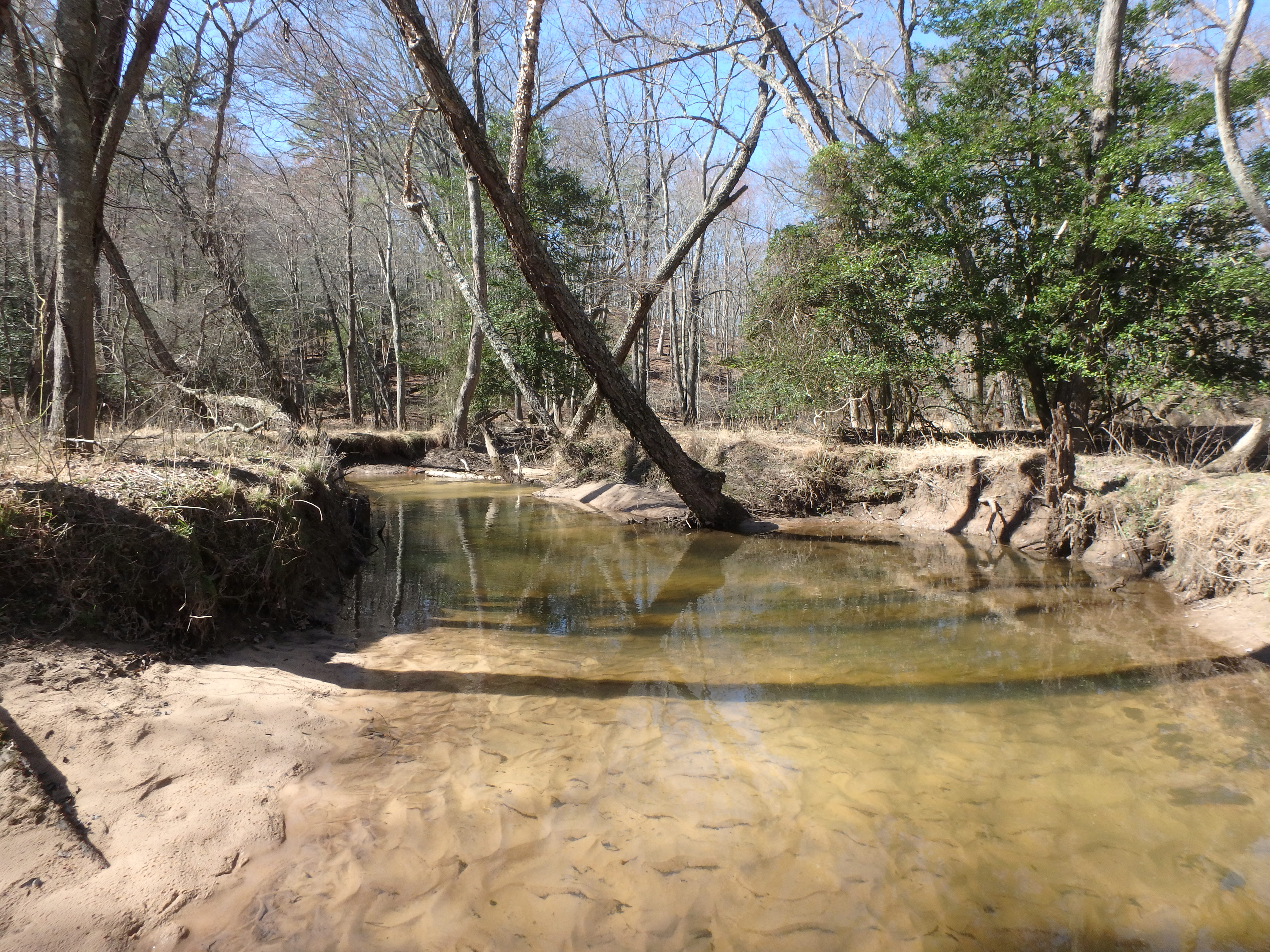 Field photo showing stream conditions at site SEVE-311-R-2017-MidpointLookingUpstream