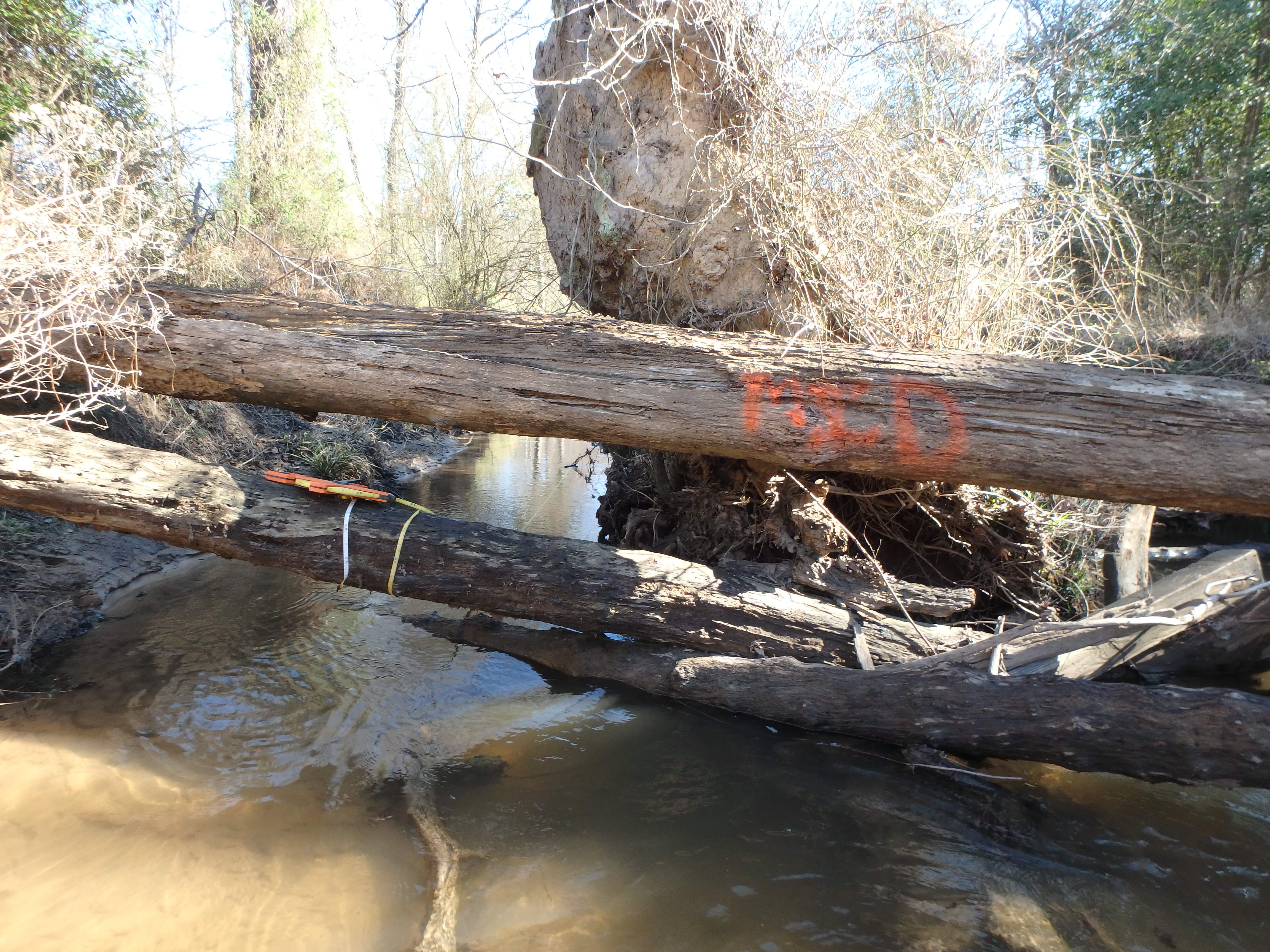 Field photo showing stream conditions at site SEVE-320-R-2017-MidpointLookingDownstream