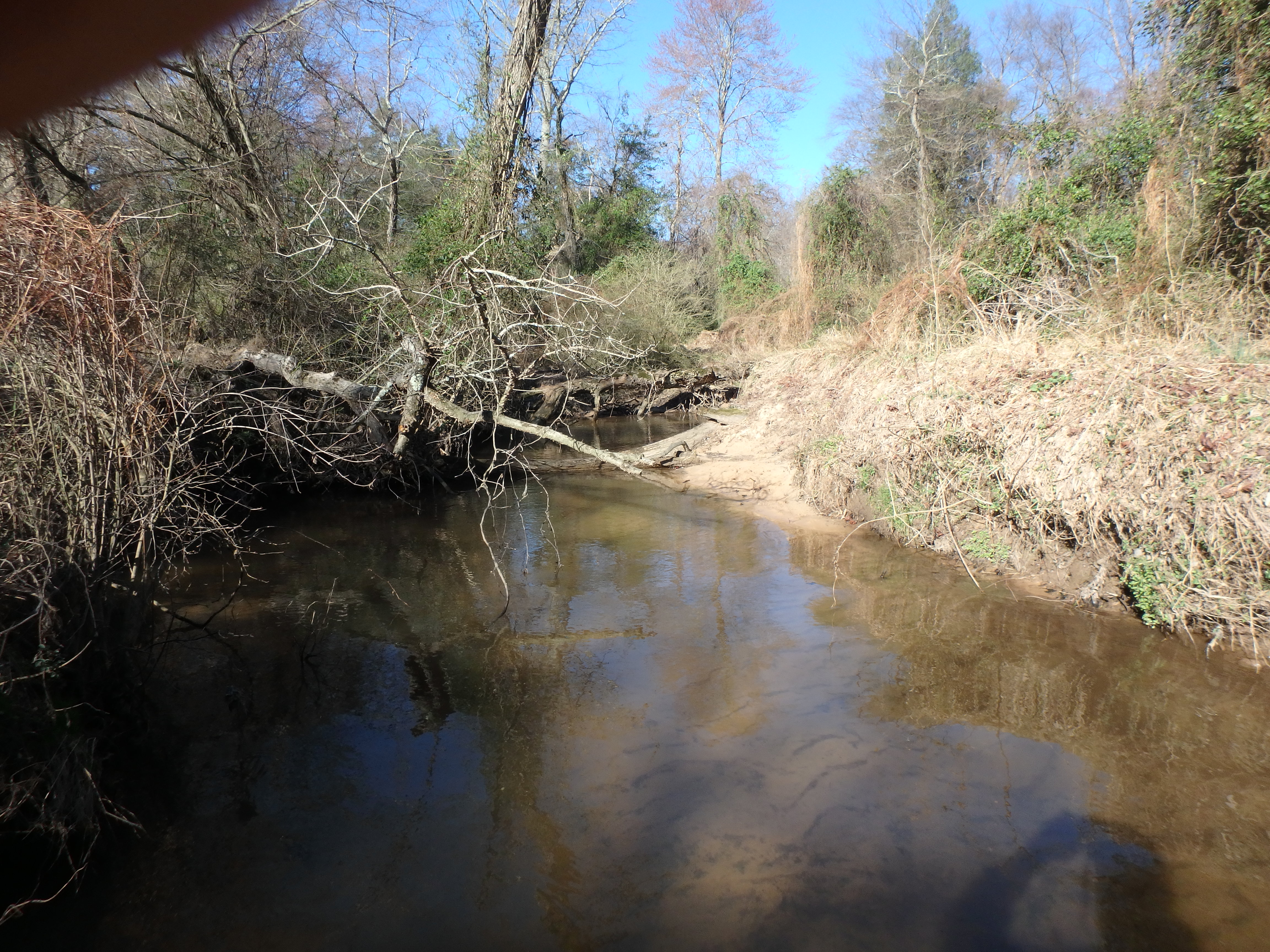 Field photo showing stream conditions at site SEVE-320-R-2017-MidpointLookingUpstream
