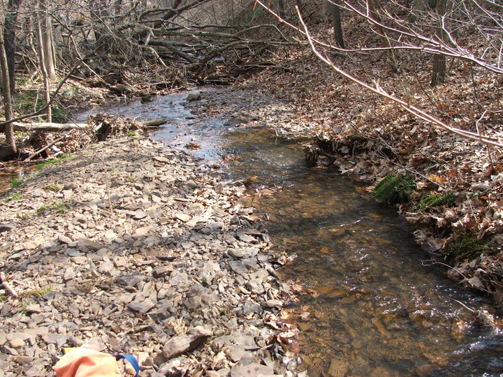 Field photo showing stream conditions at site SIDE-103-R-2008-1