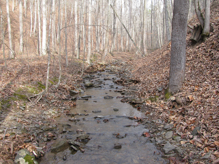 Field photo showing stream conditions at site SIDE-104-H-2011-2