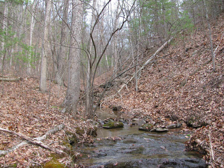 Field photo showing stream conditions at site SIDE-107-H-2011-1