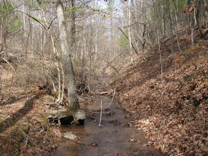 Field photo showing stream conditions at site SIDE-109-H-2011-1