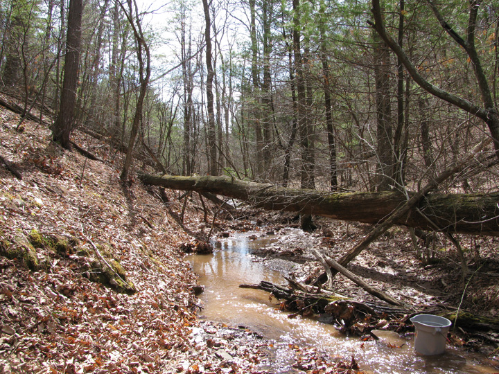 Field photo showing stream conditions at site SIDE-109-H-2011-2