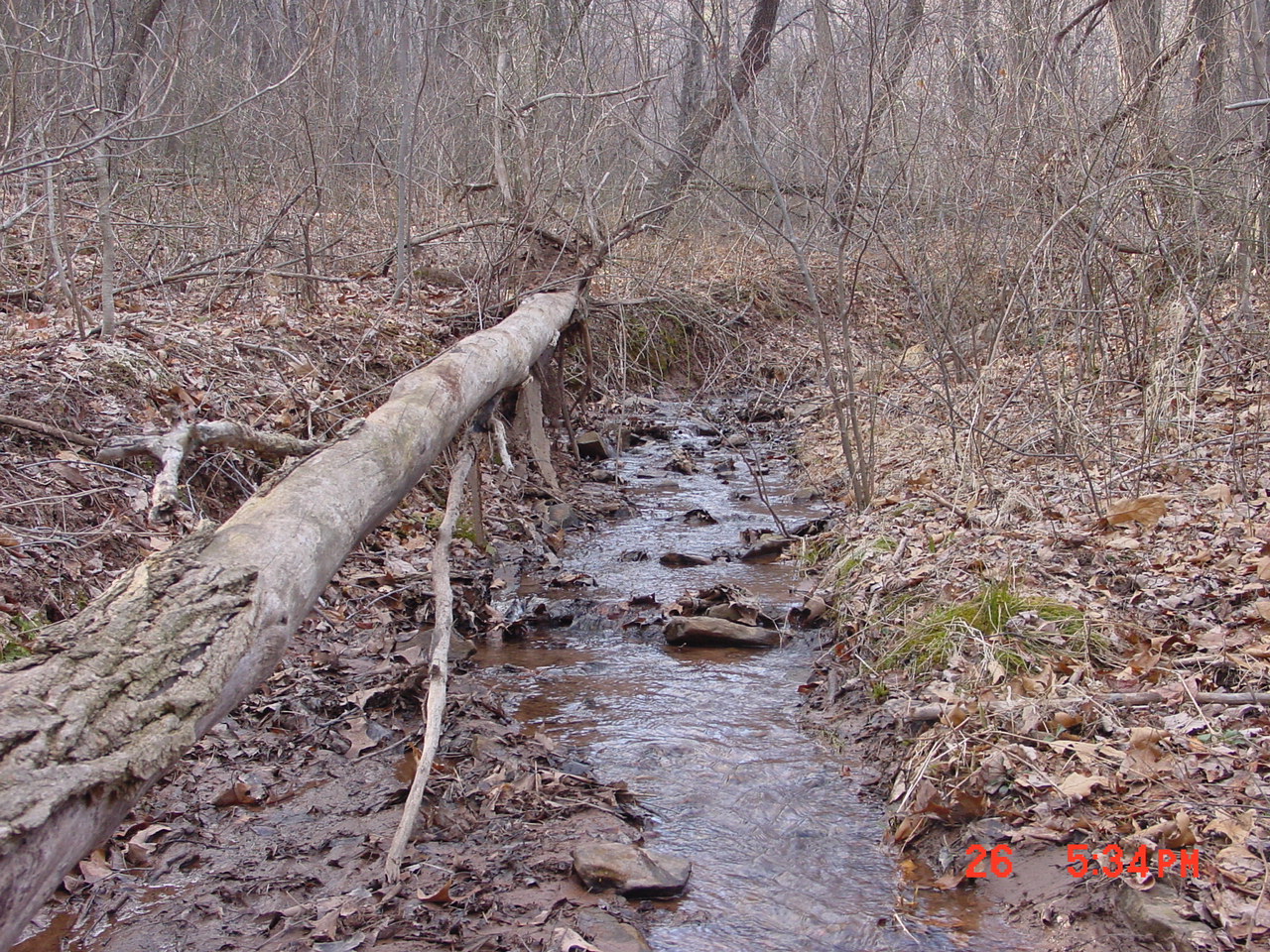Field photo showing stream conditions at site SIDE-109-R-2001-1