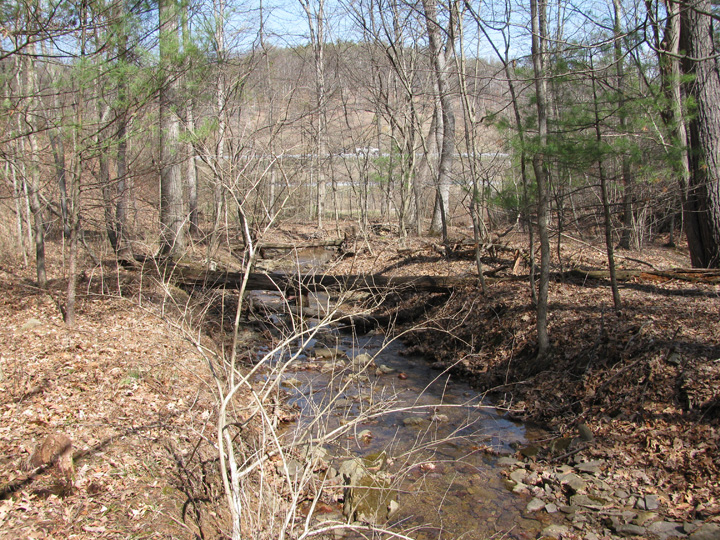 Field photo showing stream conditions at site SIDE-110-H-2011-1