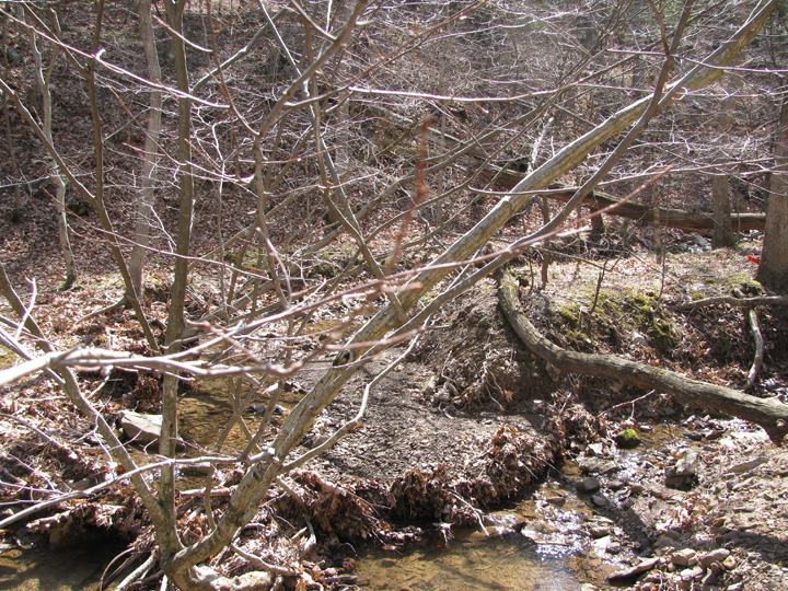 Field photo showing stream conditions at site SIDE-110-H-2011-2