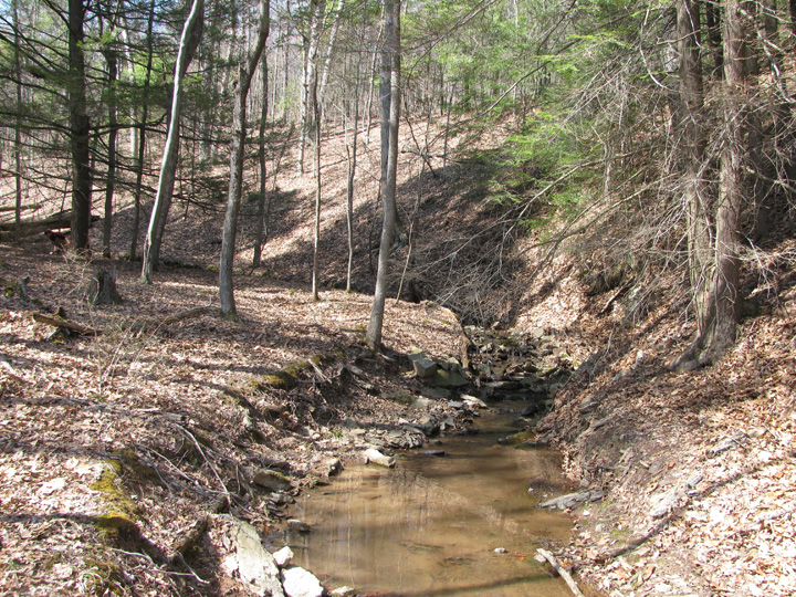 Field photo showing stream conditions at site SIDE-112-H-2011-1