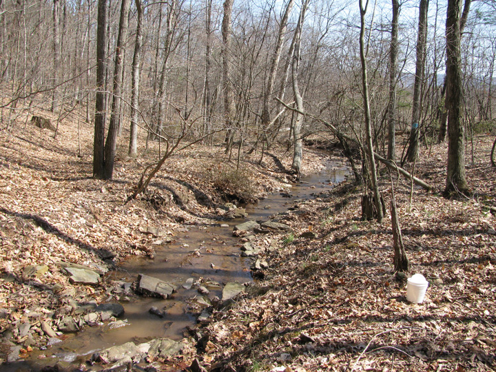 Field photo showing stream conditions at site SIDE-112-H-2011-2