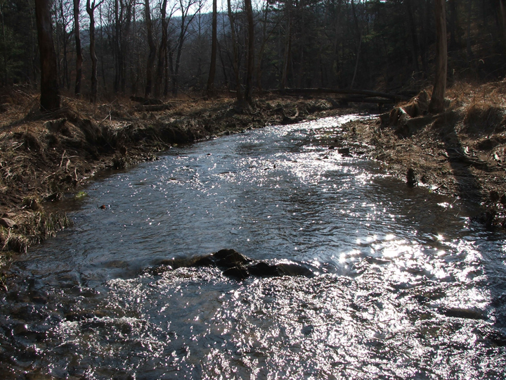 Field photo showing stream conditions at site SIDE-201-R-2008-1