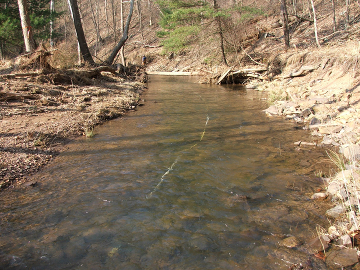 Field photo showing stream conditions at site SIDE-201-R-2008-2