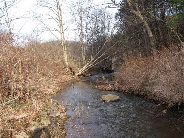 Field photo showing stream conditions at site SIDE-211-H-2011-1