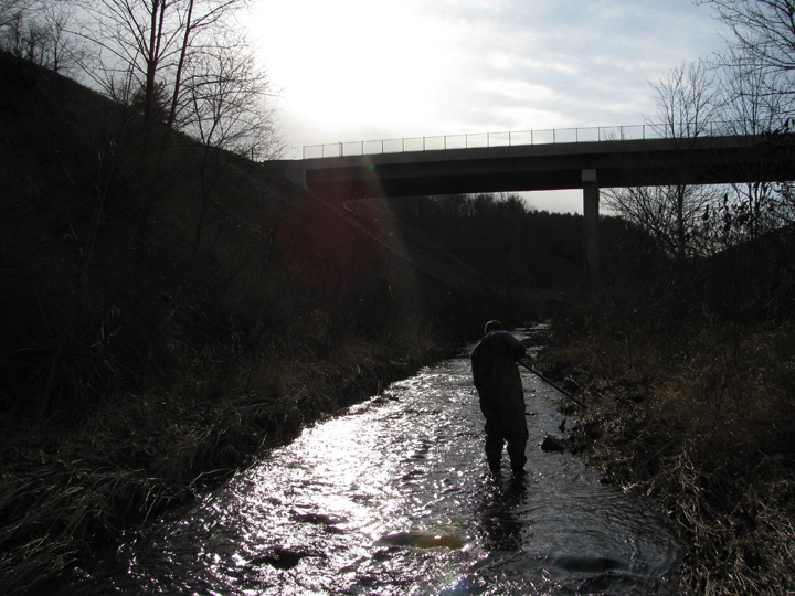 Field photo showing stream conditions at site SIDE-211-H-2011-2