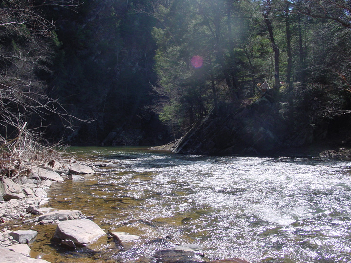 Field photo showing stream conditions at site SIDE-401-H-2007-1