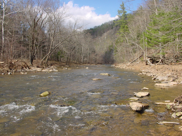 Field photo showing stream conditions at site SIDE-401-H-2007-2