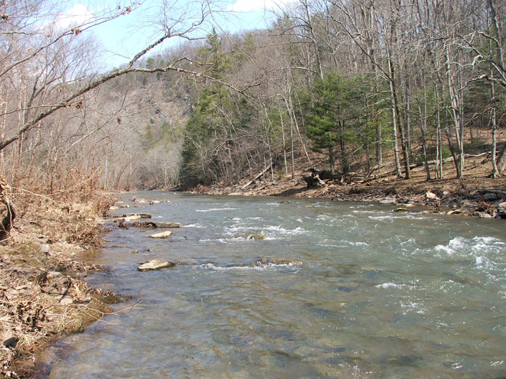 Field photo showing stream conditions at site SIDE-401-H-2008-2