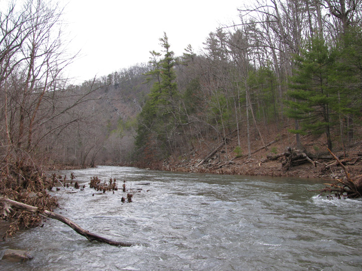 Field photo showing stream conditions at site SIDE-401-H-2011-1