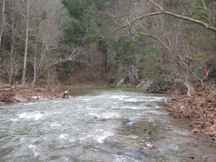 Field photo showing stream conditions at site SIDE-401-H-2011-2