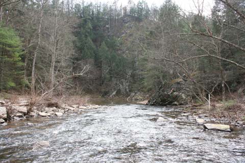 Field photo showing stream conditions at site SIDE-401-H-2012-MidpointPdownstream