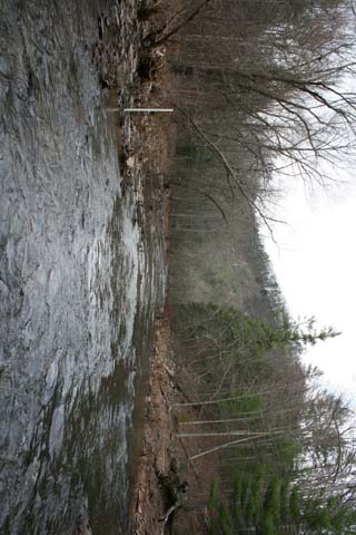 Field photo showing stream conditions at site SIDE-401-H-2012-MidpointPupstream